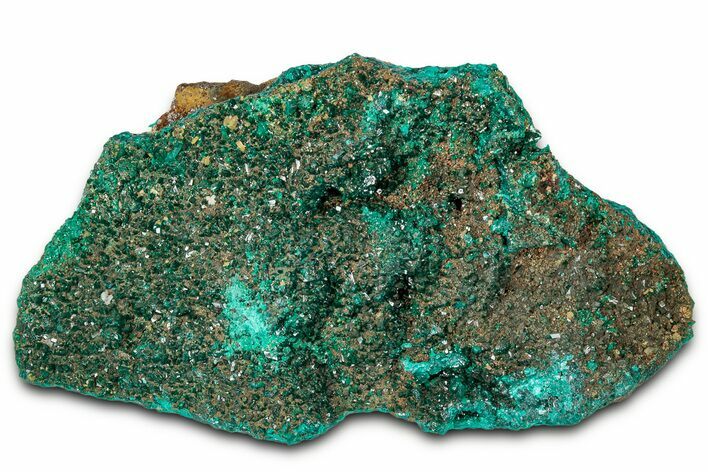 Sparkling Dioptase Crystal Cluster on Matrix - Congo #326566